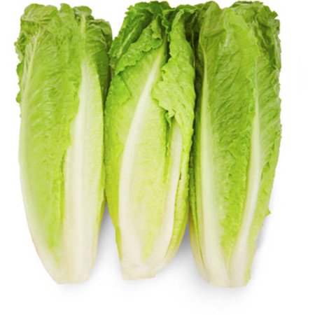 Romaine Lettuce Hearts